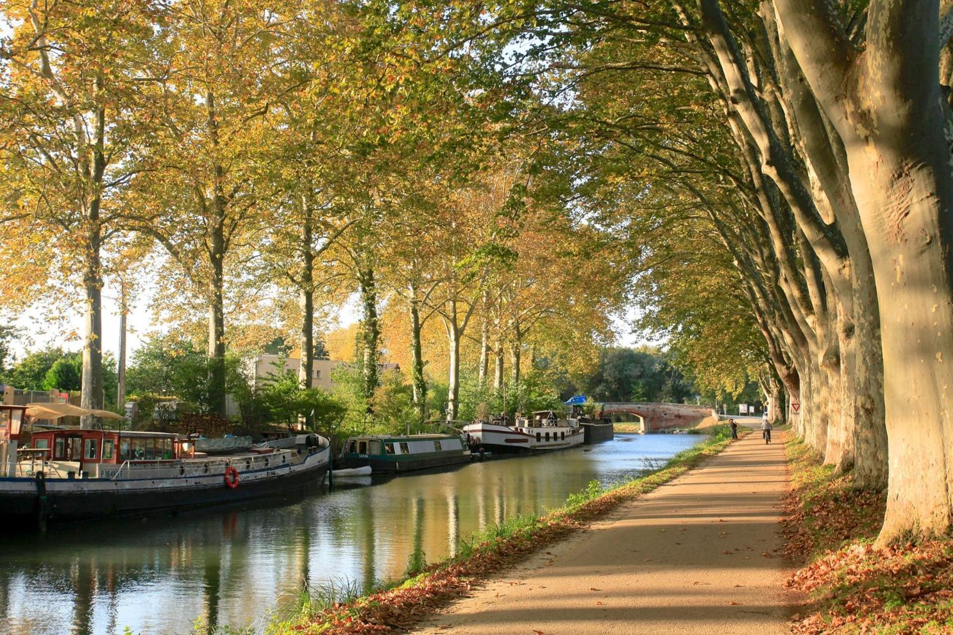 Montez Au Creneau, Face A La Cite Vue Sublime Apartment การ์กาซอน ภายนอก รูปภาพ